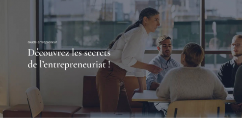 https://www.ms-entrepreneur.com